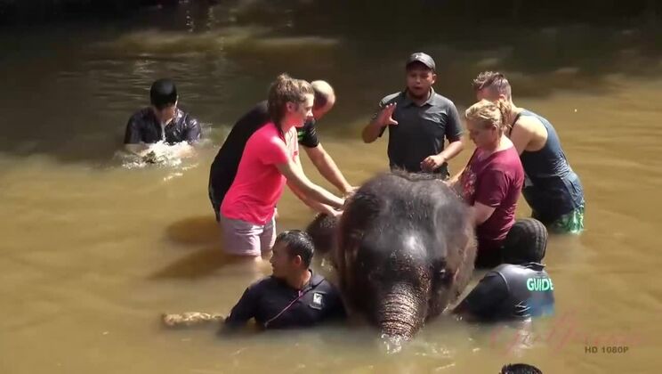 [ATKGirlfriends] - Nothing Beats a Day with Elena Koshka - Amateur Fun in the Sun - Elena Koshka