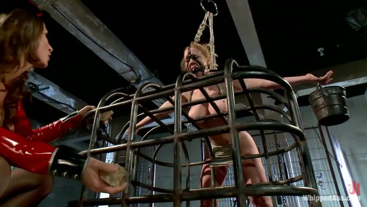 [WhippedAss] - Ariel X's Anal Domination: Dee Williams in Lesbian BDSM - Dee Williams - Ariel Carmine