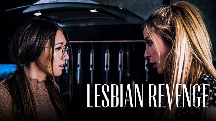  Brunette Envy Seduction