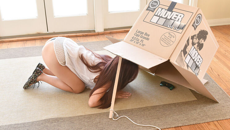 [ExxxtraSmall] - Teen Thief Trapped and Caught - Elle Voneva