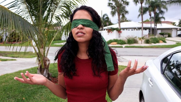 Brunette's Trimmed Pussy in Cowgirl