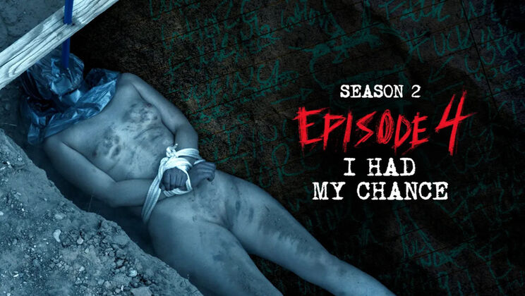 Big Cock and Bondage: A Madman's Diary